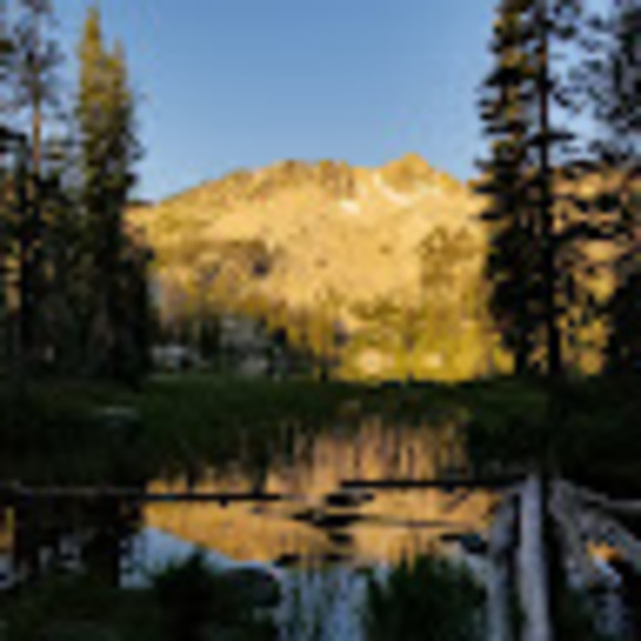 Meet your Posher, Bryce - Picture 1 of 1